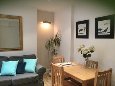 1 bedroom garden flat in Pimlico available Main Photo