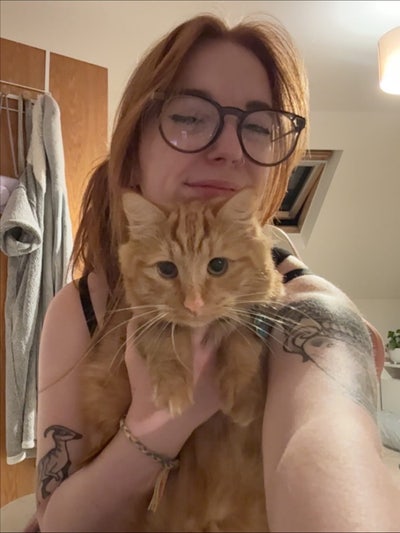 Room wanted - for me and my cat  Main Photo