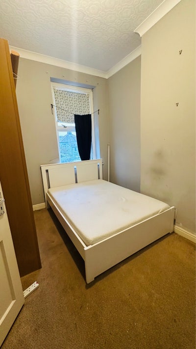 Room available  Main Photo
