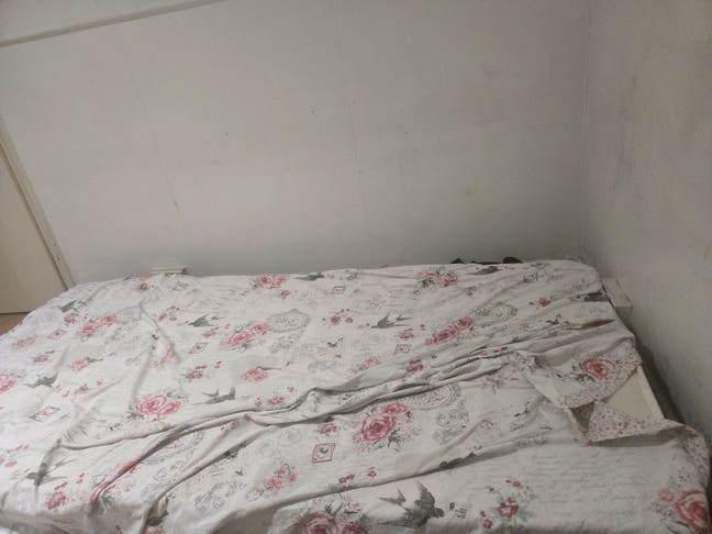 Room Share Main Photo