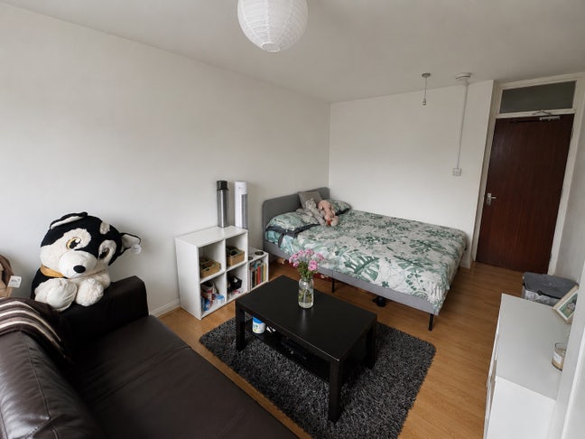 Large Double Bedroom in Friendly 3 Bed Flat  Main Photo