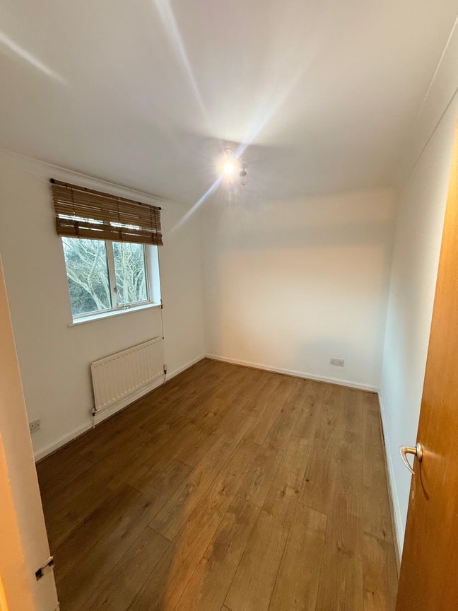 Single Room Available  Main Photo