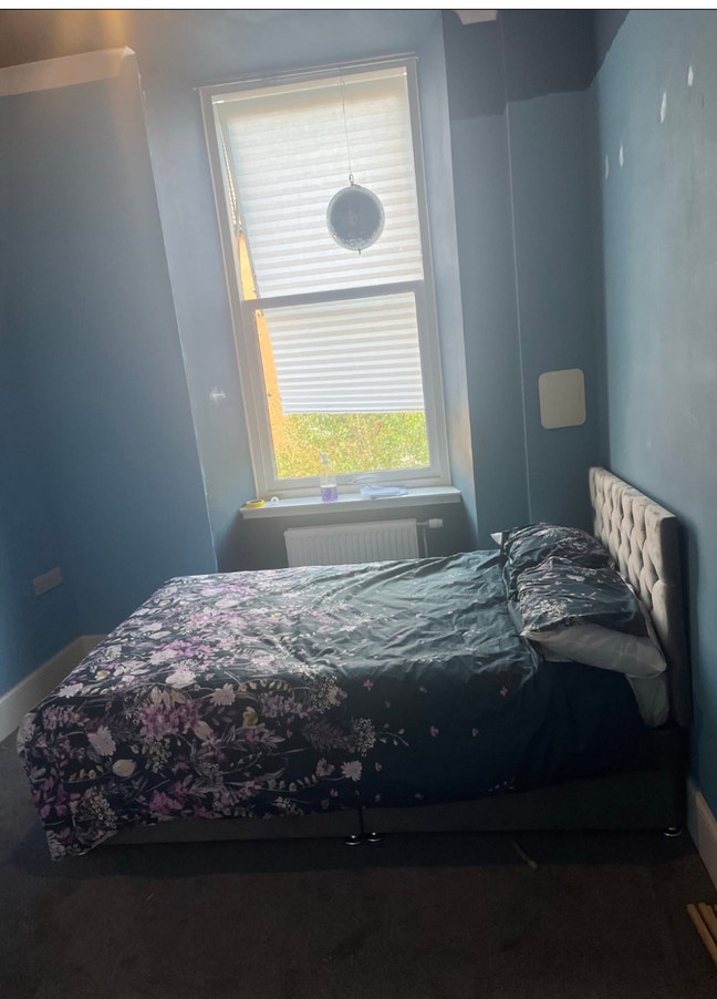 Looking for  flatmate in lovely west end flat Main Photo