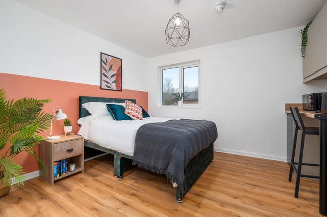 💥 Ensuite Studio Rooms with kitchenettes 💥  Main Photo