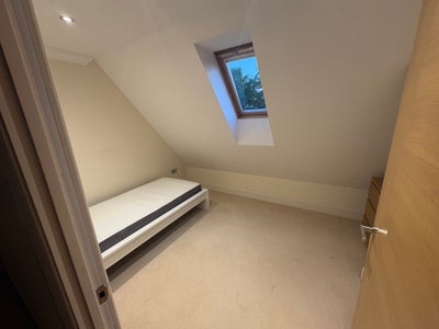 Room with Personal Bathroom Available Main Photo
