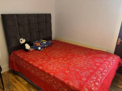 Single Room Available  Main Photo