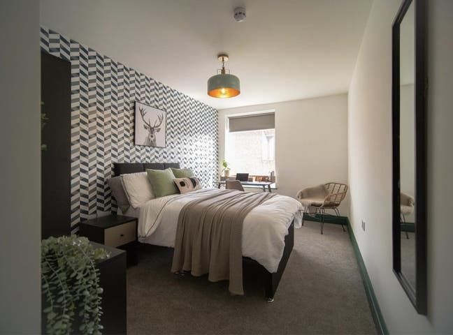 Modern En-Suite in Luxury Co-Living Home Main Photo