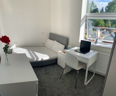 Small Double room in a refurbished 1st floor Flat Main Photo