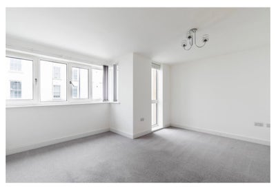 Professional house share, central location  Main Photo