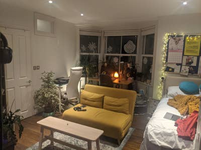 Large Ensuite Room in Social House  Main Photo
