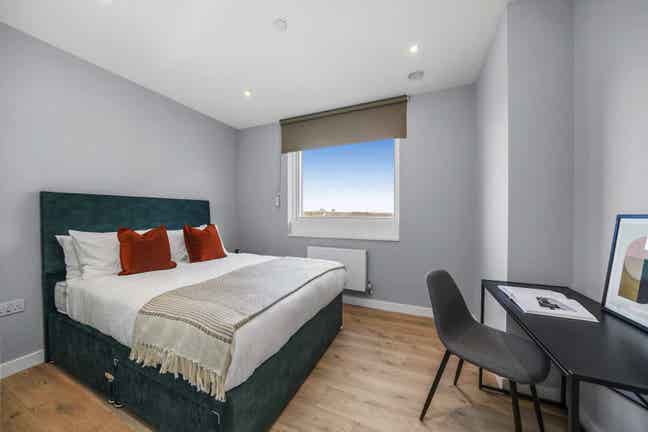 Bright, park-facing master bedroom in cozy flat Main Photo