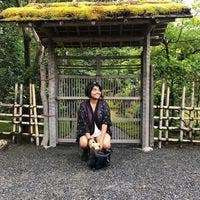 Professional Female seeks a single or double room Main Photo