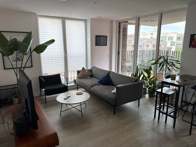 Double Room in Victoria park / Modern apartment   Main Photo