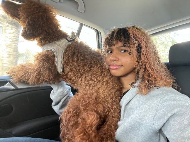 looking for a friendly flatshare with my poodle Main Photo