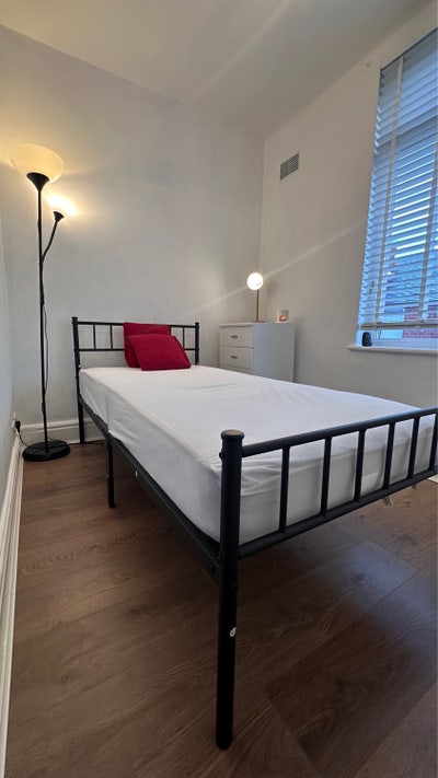 Beautiful Single Room  Main Photo
