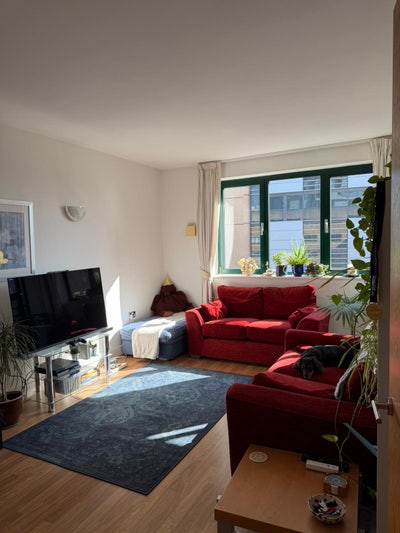 (E1) 1 bed flat 2-4 month short-term sublet Main Photo