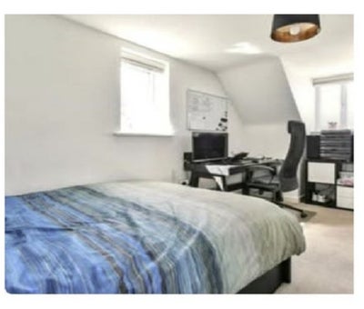 1 Room for rent Main Photo