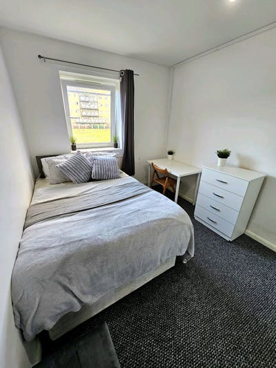 Mile End/ Stepney Double Room Available! Main Photo