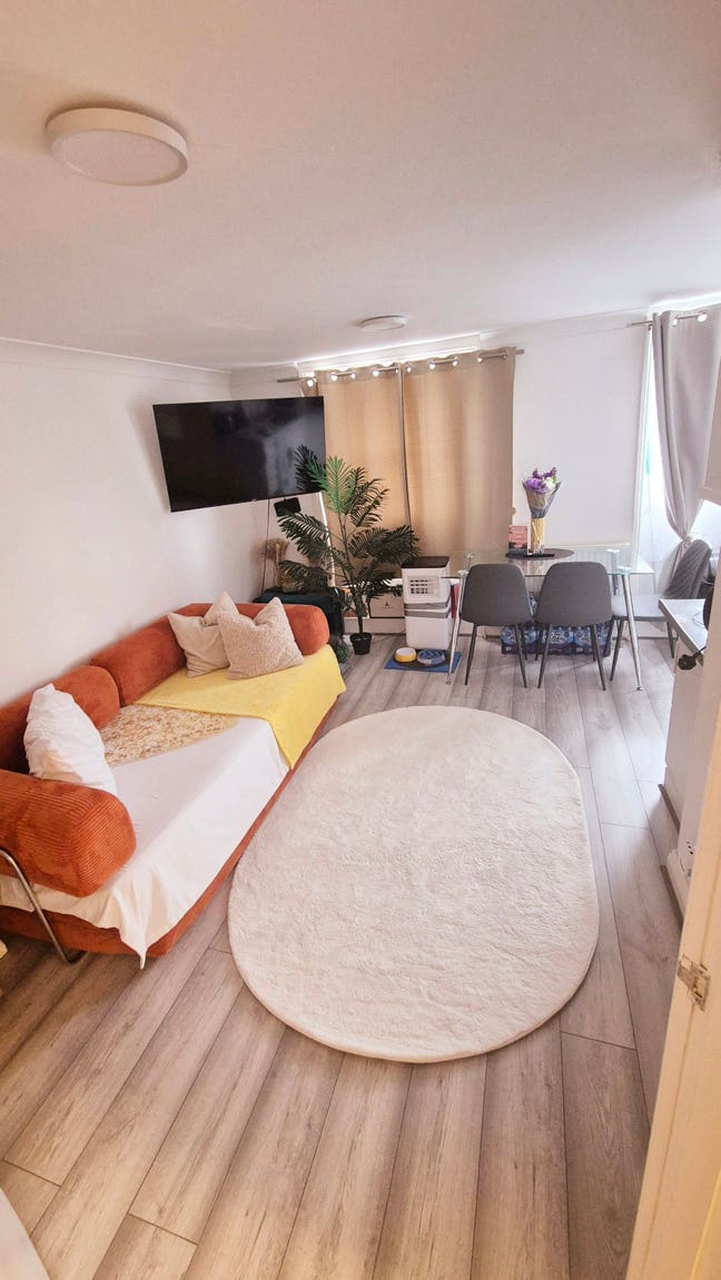 Cozy pet-friendly flat near Baker Street  Main Photo