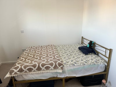 New Room to let in Swindon  Main Photo