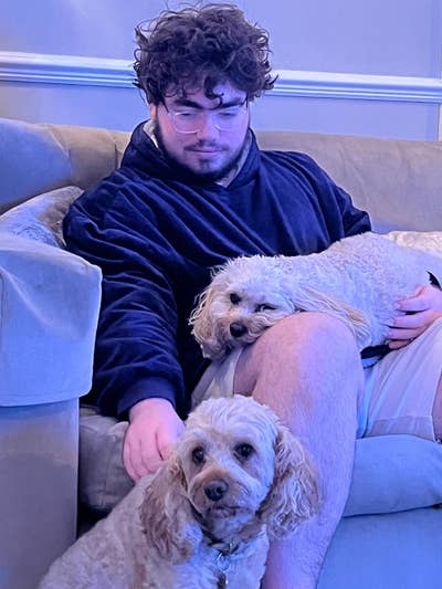 23yo Software Engineer Looking for Sociable House  Main Photo