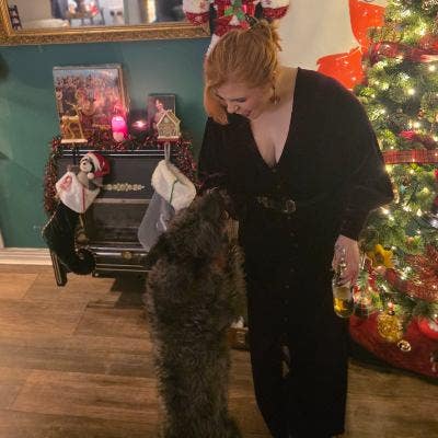 Working student and dog looking for Glasgow room! Main Photo