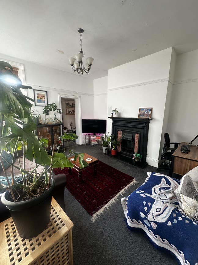Cosy room in Tynemouth Main Photo