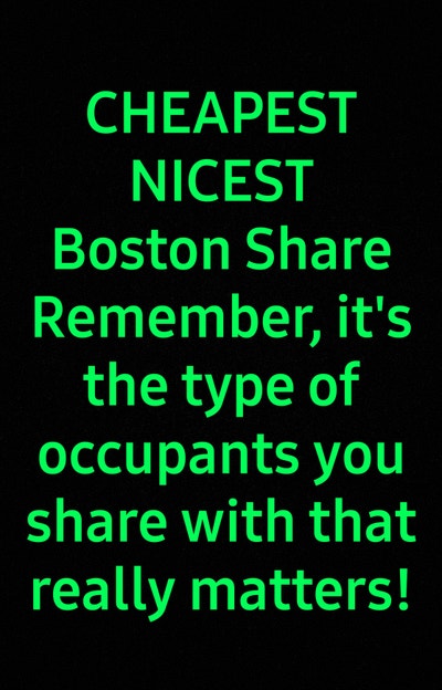 Boston &pound;99 Best. If I Show Interest Pls Read Main Photo