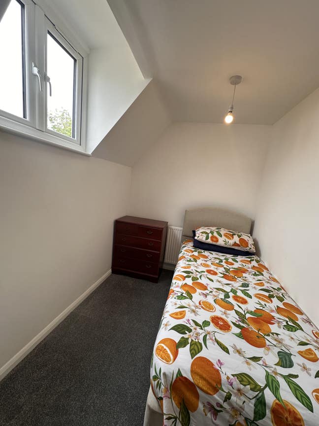 Room Available  Main Photo