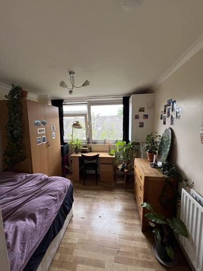 Room available in Islington Flat! Main Photo