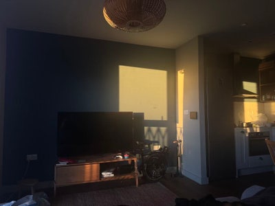 Replacement tenant wanted for modern studio  Main Photo