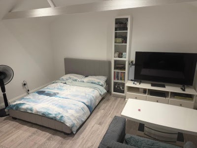 1 bed room studio ground floor flat  Main Photo