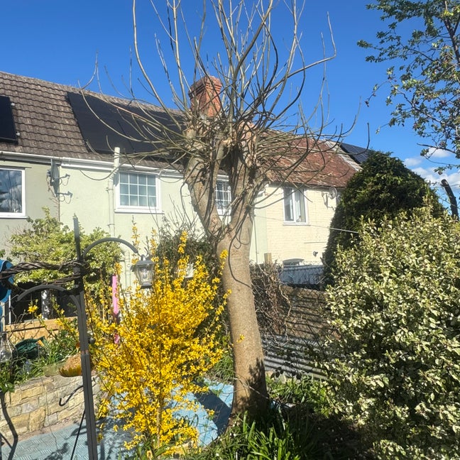 Beautiful semi-rural cottage to share.  Main Photo