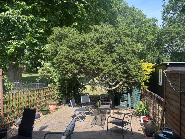 Sublet June-July in House in Bermondsey Main Photo