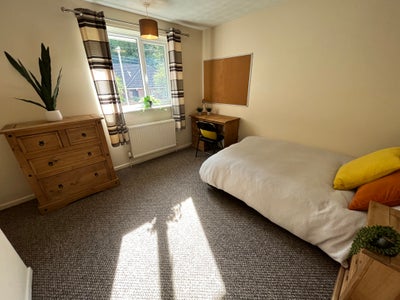 Large Double Student Room Sharing with All Females Main Photo