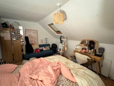 Double room in flat in Manor House Main Photo
