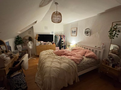 Double room in flat in Manor House Main Photo