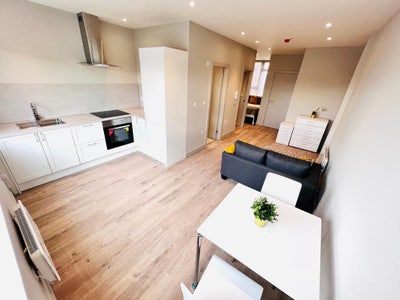 ✨ 🏠 1 Bedroom Flat to Let in Tottenham  Main Photo