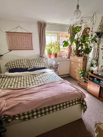 Room available in spacious Stoke Newington flat  Main Photo