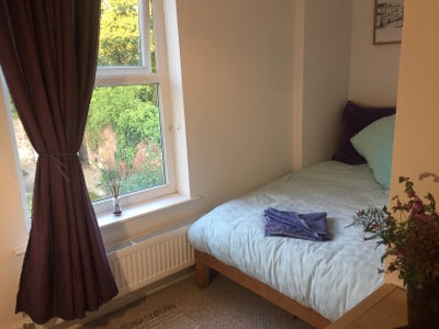 Bright, welcoming small double in friendly home Main Photo