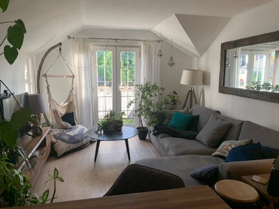 Full use of apartment, double room own bathroom  Main Photo