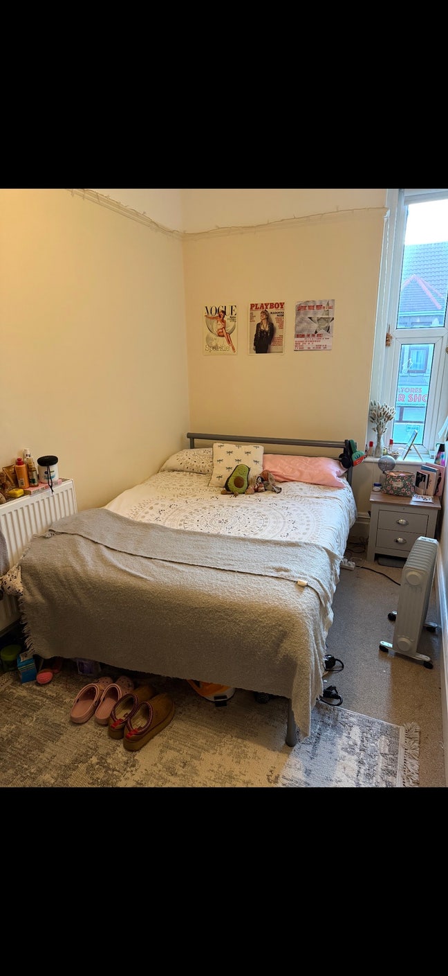 Room in Redland!  Main Photo