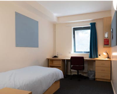En-Suite Single Room! Near Falmer Station :) Main Photo
