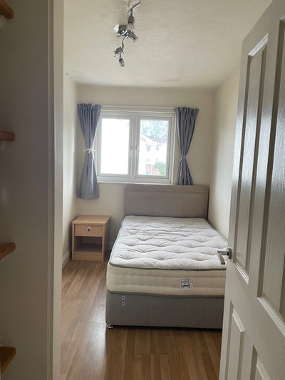 Room available for young professionals  Main Photo