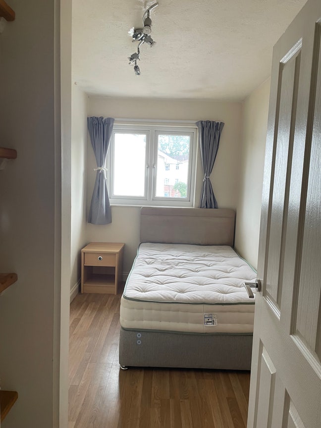 Room available for young professionals  Main Photo