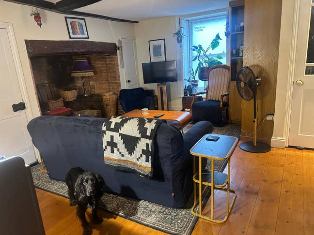 Bright Double Room in Edwardian Home Main Photo