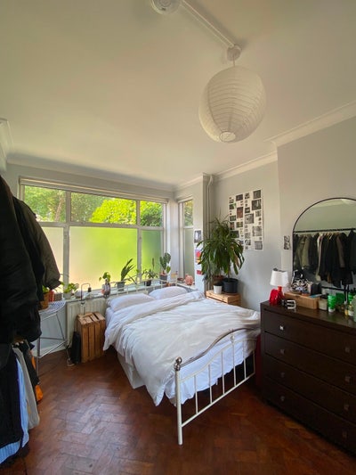 Large, bright room overlooking Hilly Fields park Main Photo