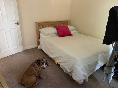 1 bed in conversion bottom floor flat  Main Photo