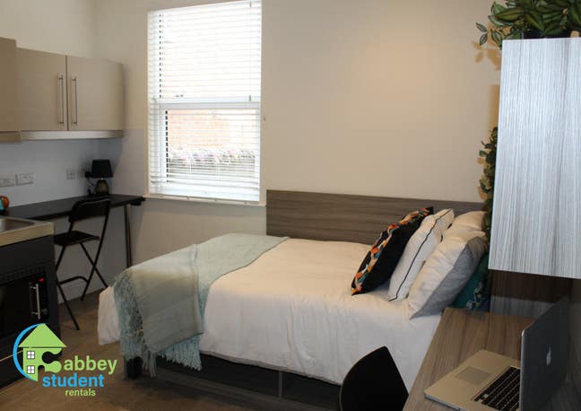 Luxury Studio - All Bills Included Main Photo