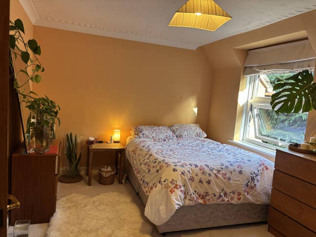A large en-suit double in a quiet house Main Photo